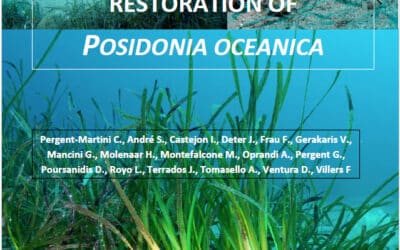 « Guidelines for the active restoration of Posidonia oceanica » vient de sortir !