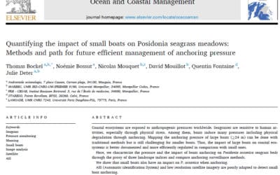 Quantifier l’impact de la petite plaisance sur l’herbier de posidonie