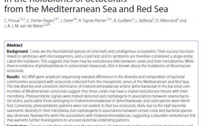 Publication sur les bactéries associées aux octocoralliaires