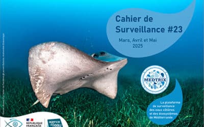 Cahier de surveillance Medtrix N°23